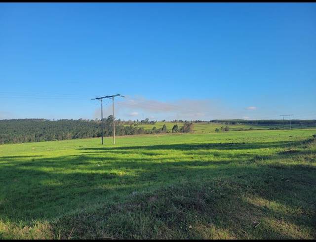 FARM FOR SALE IN HARDING